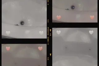 Sunday Funday 💦🍆💰😝 incall only... - Image 1