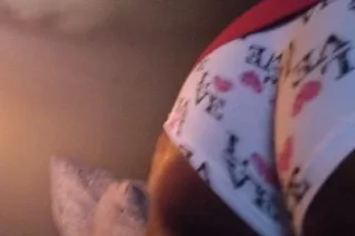 EVERYTHING IS GOOD - Image 1