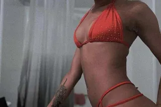 BREEDING SESSIONS LOOKING FOR ... - Image 2