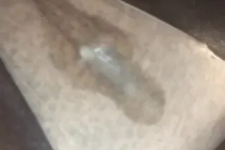 HHR 2 nuts special1⃣0⃣0⃣ incal... - Image 3