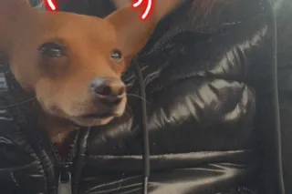 hump day! lets get our hump on! 😘 - Image 7