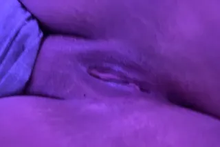 Teddybear🧸Fantasy Land💕 - Image 8