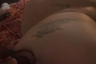 bbw persian sunday last day fo... - Image 2