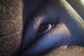 💋HEAD SERVICE ONLY RIGHT NOW B... - Image 1