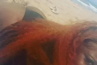 80$ Incalls 100$ Outcall Speci... - Image 4