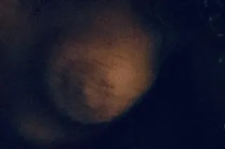 sexy latina - Image 5