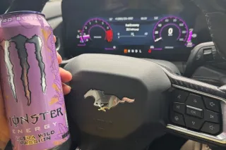 clair - 25 - Image 3