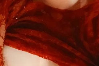 Brittany D😉👅 Outcall only, no carplay!! - Image 5