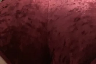 💦🐱Incall/Outcall Special🐱💦 - 2... - Image 3