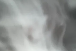 on hursteborne ready toplsy no... - Image 3