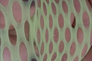 soft curvy craving attention whos bold enough  new pussy!! - Image 2