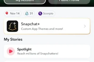 MALL AREA - 27 - Image 4