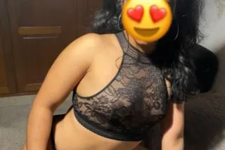 Hi! I am Canela a mix of cuban... - Image 2