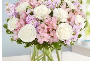 1oo Outcall special - 35 - Image 3