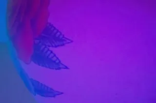 💙🩵🩵 BACK FOR A LITTLE WHILE - ... - Image 3