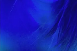 *AVAILABLE NOW **The HEAD Nurse is NOW on duty*** - Image 6