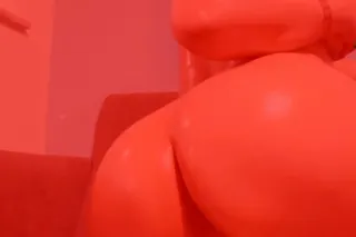 natural perfcta - 29 - Image 1