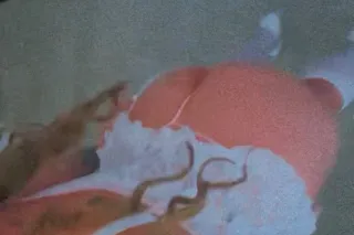 Slim Thick Big boobs and big a... - Image 2