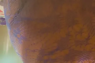 Drippn Juicy🍑💦🌊🍓🍇😮‍💨😮‍💨🥰 In/Outcalls - Image 5