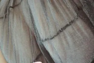 I am only traveling to people with the deposit TIGHT WET SLIPPERY 💦💦 GOOD TIMES NO COPS NO DRAMA NO BS NO ISSUES BBW SNOW BUNNY😛😘🥰 - - Image 5