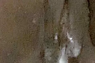 Your Private Escape to Beauty & Temptation - Image 2