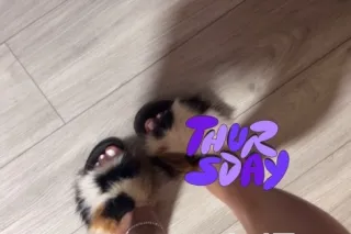 🔥🔥⬇ I’m Available Now⬇🔥🔥LATINA 🔥🔥AMAZING BODY 🥵💋 REAL PICTURES 💯 DEEP THROAT FRIENDLY 👅 - Image 5