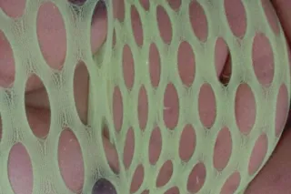 🚨NEW PUSSY 🚨 - Image 1