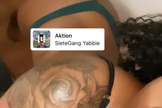 100qv and car 200hhr 300hr - 2... - Image 1