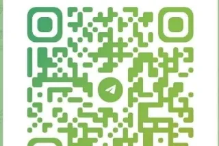 ✨ Highly Favored. Exotic Beaut... - Image 4