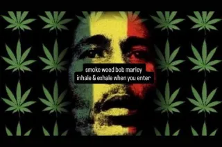 100 quick visit special. bare:... - Image 1