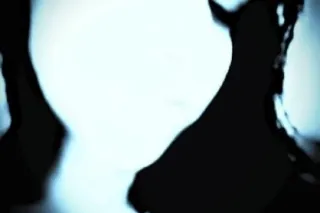 TEXT ONLY PLEASE!!!! !! AVAILA... - Image 3