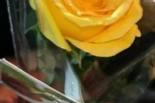 💎DIAMOND💎 Incall/Outcall - Image 5