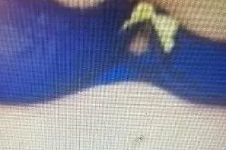 LOOKING FOR ALL EXPERINCED PAINTERS - Image 3