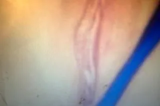 LOOKING FOR ALL EXPERINCED PAINTERS - Image 1