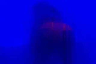 $60 QV - 24 - Image 2