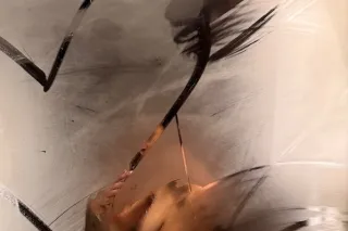 Manhattan only - 27 - Image 2