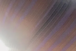 ‼ Freaky bbw playmate 💦NEW#2 4... - Image 1