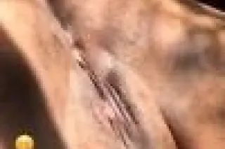 ✨Let Me Make You CUM💦✨ $100hh ... - Image 1