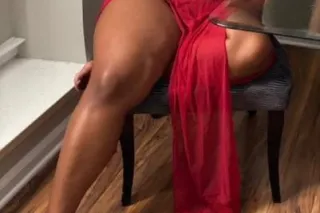 Your New Favorite available - Image 1