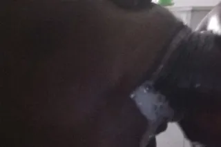 💚💛🧡❤🖤💜💙🩵🩷🆕THE HOTTEST NEW PORN... - Image 4