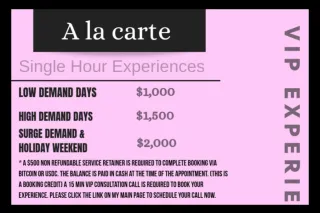 2026 World Soccer Tournament VIP COMPANION - Image 7