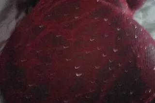 Hatian Chocolate - 18 - Image 1