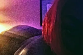 hey luv bugs if u not booking.... - Image 3