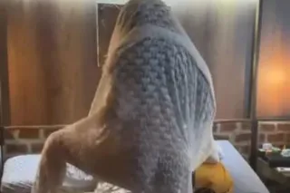 sexy y complaciente 💋 - Image 7