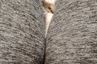 Cum Feel My Passion CAR DATE ONLY - Image 11