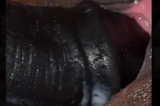 🤗😌AMBER THE GREAT 🤗😍 - Image 7