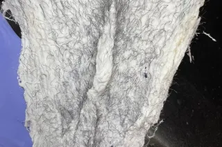 CUM STUFF MEnice safe hotel! p... - Image 1