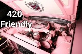 If Not Now.... - 56 - Image 3