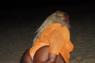 KAASH (BIG BOOTY 🍑🍫 BBW ) - Image 3