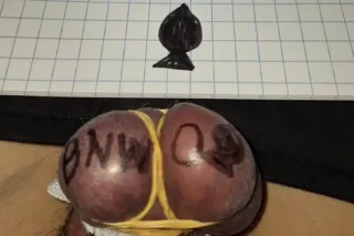 On your knees....your rightful... - Image 2